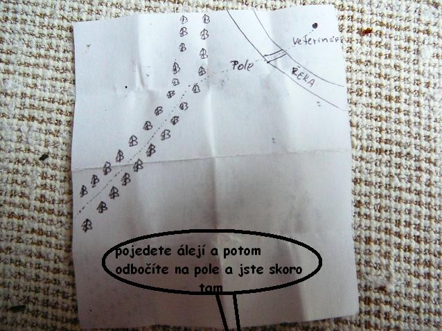 5.JPG